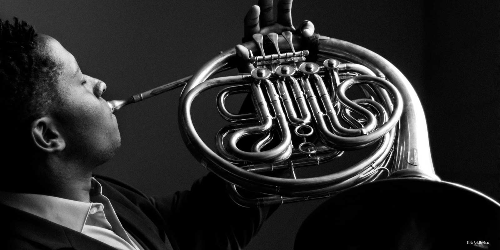 modell chicago josh williams schmiedhaeuser orchestral horns germany